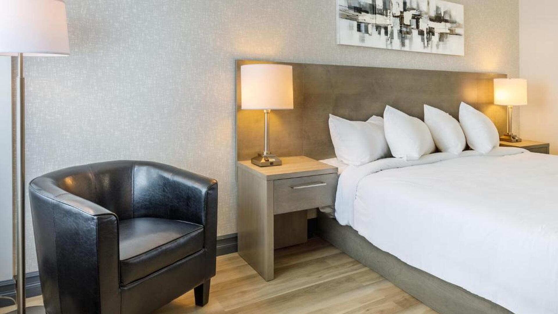 Suite with 1 Murphy King Bed
