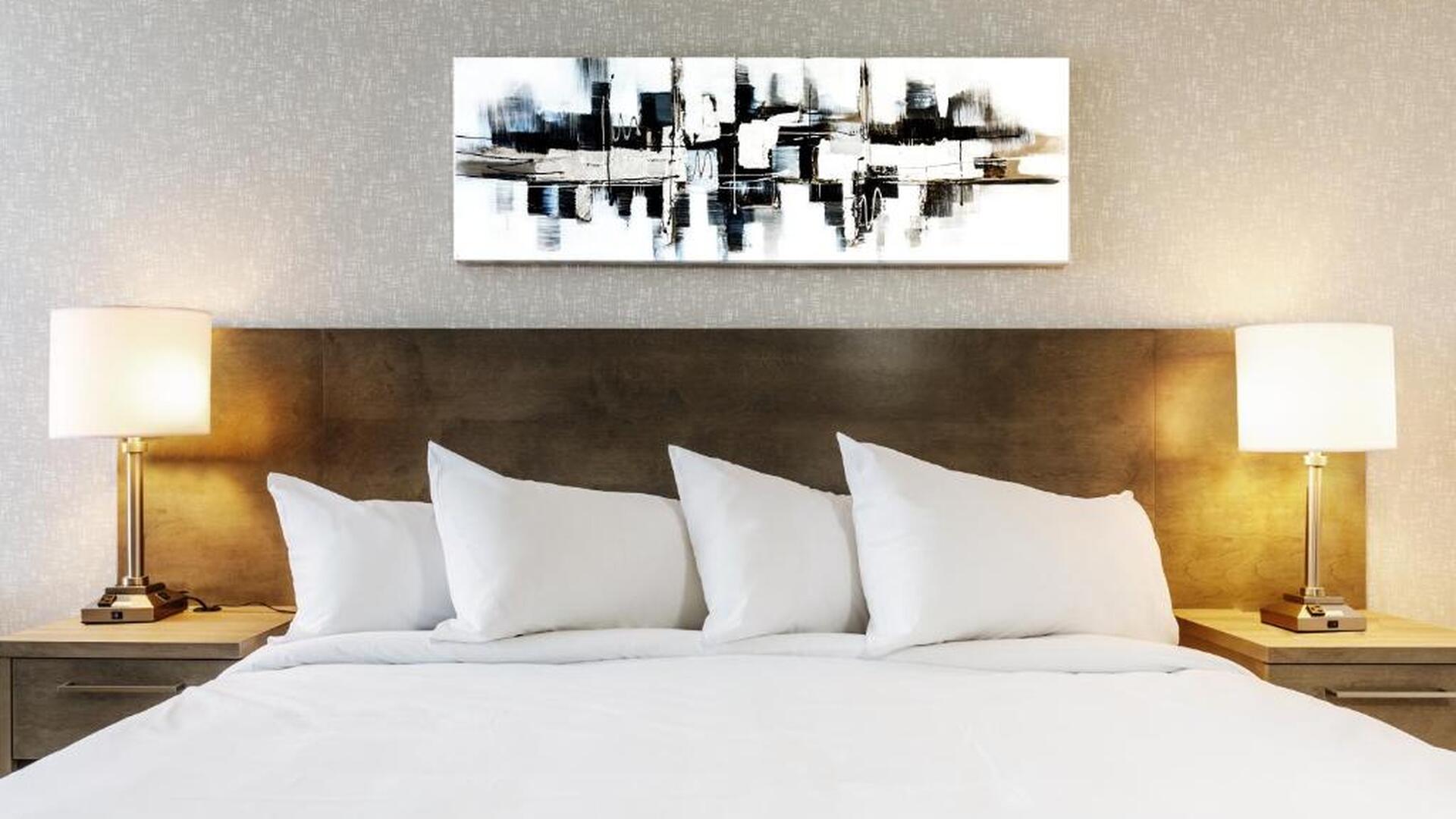 Suite with 1 Murphy King Bed