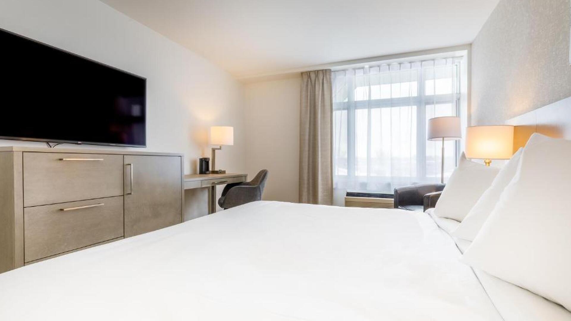 Suite with 1 King Bed and Sofa Bed