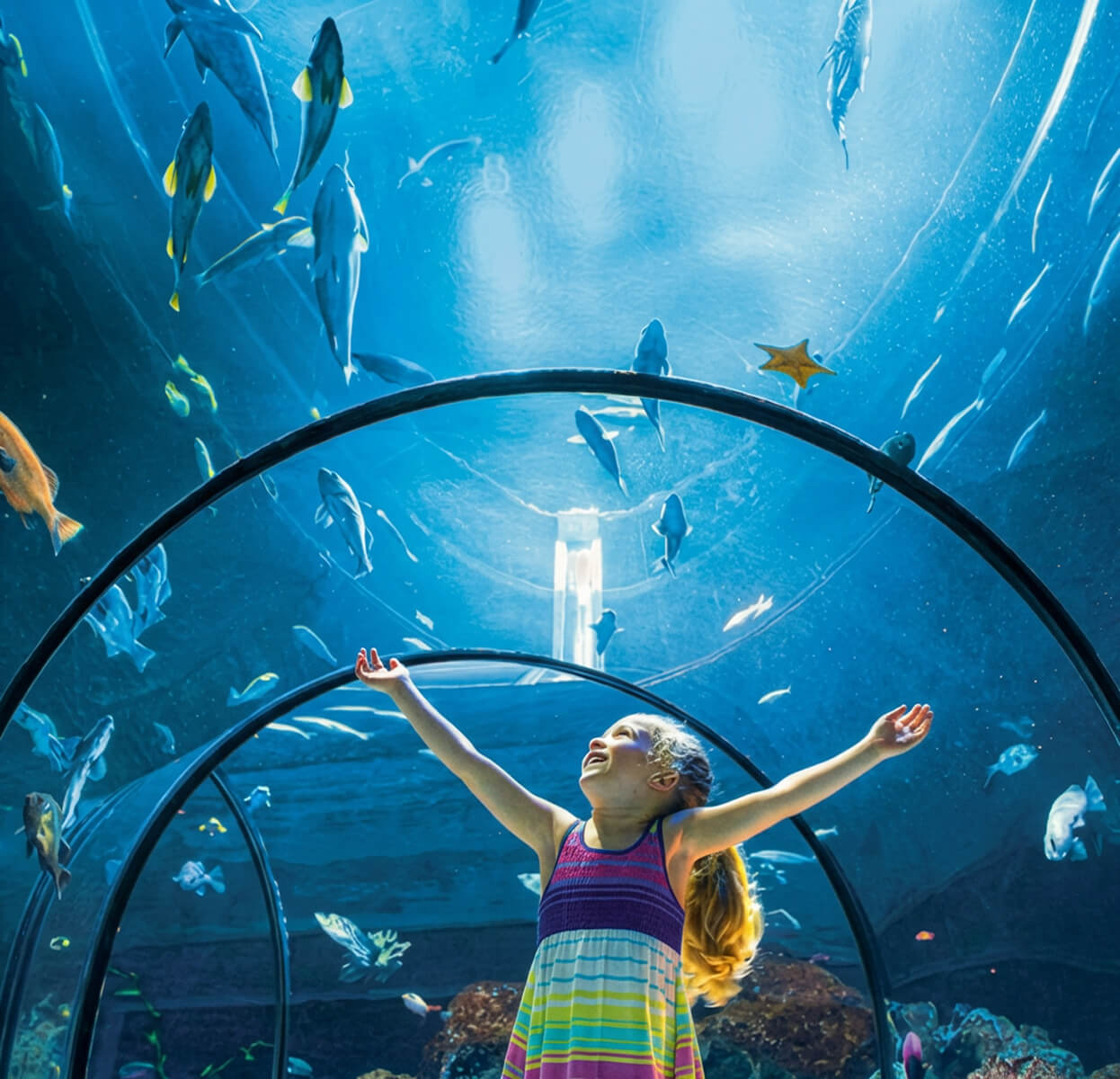 Aquarium of Quebec