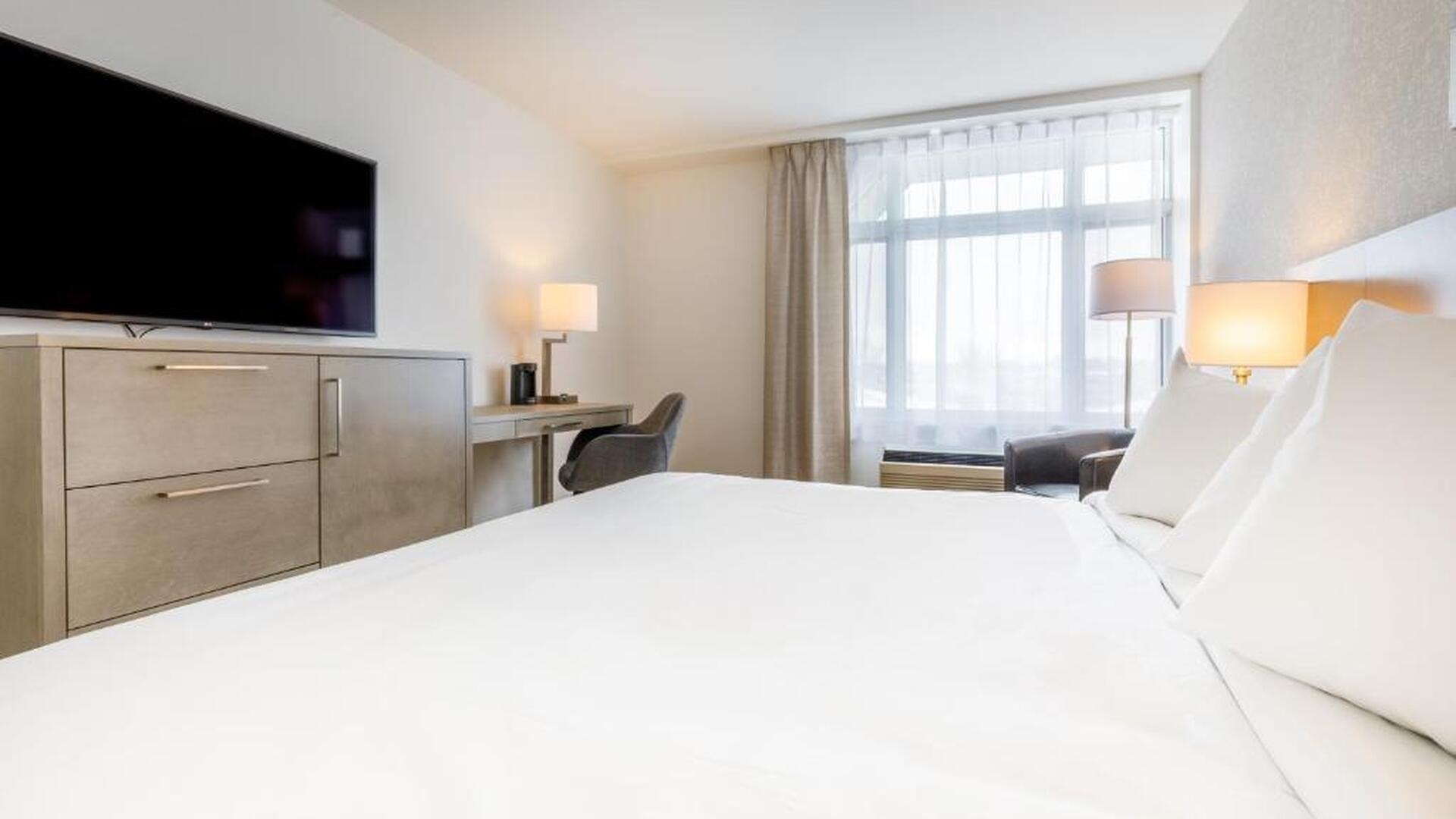 Adapted Room with 1 King Bed